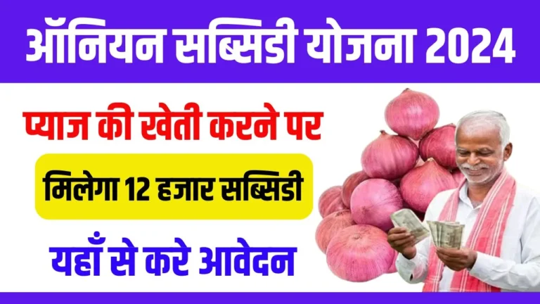 Onion Subsidy Yojana